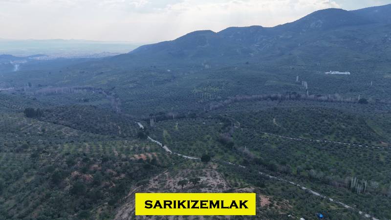 Büyü13434